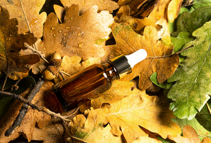 Autumn Skincare Essentials: Transitioning Your Routine for a Radiant Fall